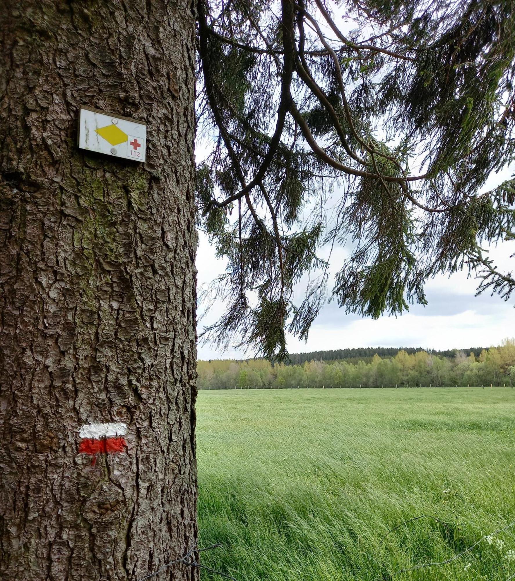 Villa Carpe Diem Bastogne Zimmer foto
